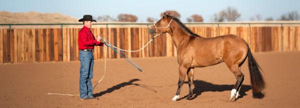Clinton-Anderson_Correcting-Mouthy-Horses