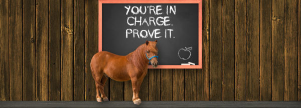 Phoenix_header_in-charge