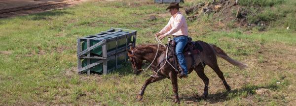 Correct-Horse-That-Spooks