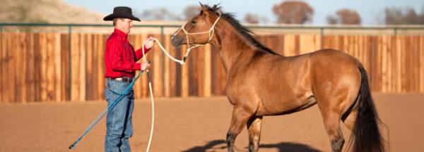 A-Case-of-the-Nibbles