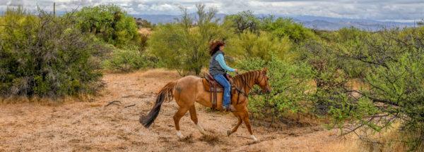 NWC-Preview_Trail-Riding-Requirements