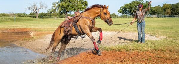 Taking-Groundwork-Next-Level