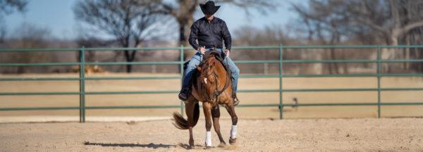 Backing-Circles-Under-Saddle-pt2